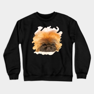 Portrait of fluffy sad Pekingese puppy Crewneck Sweatshirt